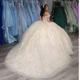Off-Shoulder Ball Gown with Floral Applique & Beaded Tulle Princess Quinceanera & Sweet 16 Party Dress